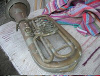Tenorhorn_verysmall